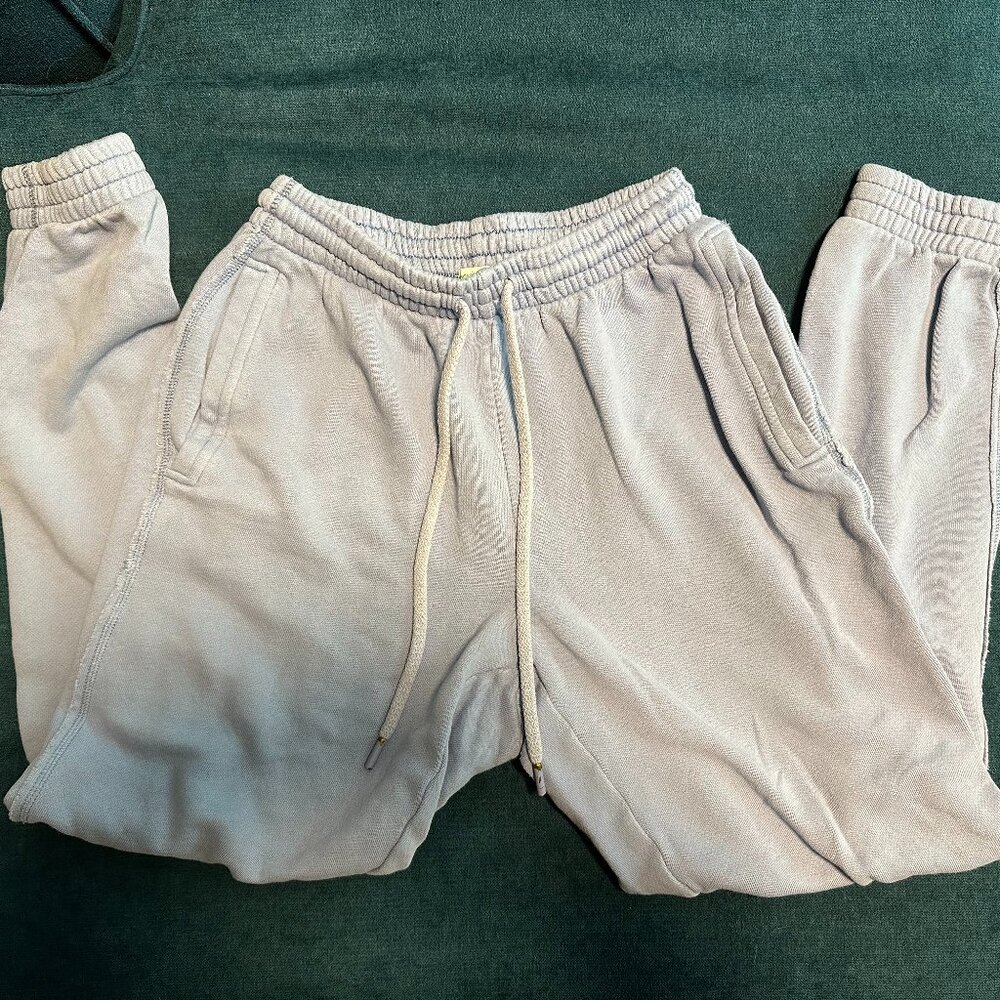 Aerie Women's Blue Joggers